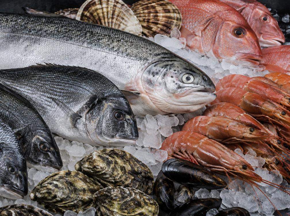 A carefully arranged selection of whole seafood and shellfish on ice